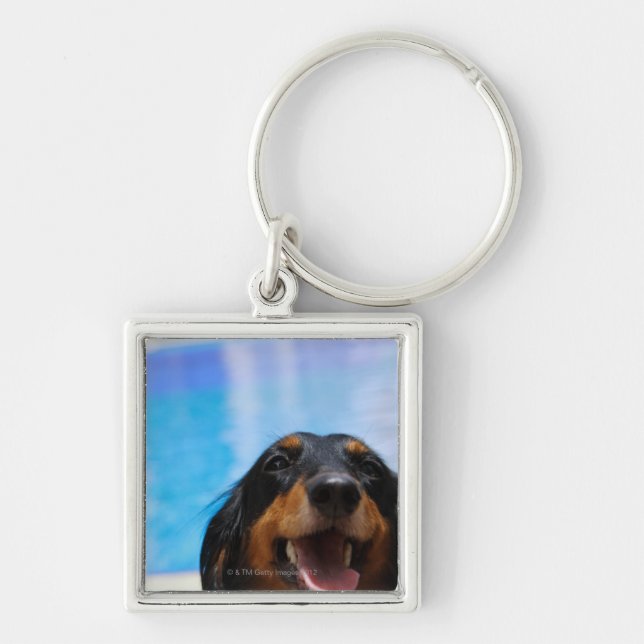 Close-up of a Dachshund dog panting Keychain (Front)