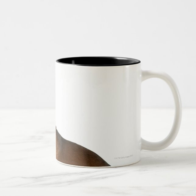 Close up of a dachshund Two-Tone coffee mug (Right)