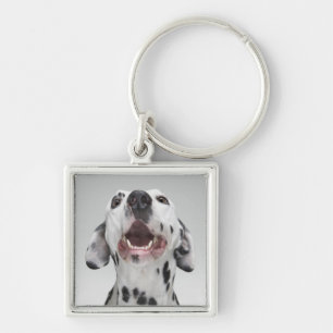 Close up of a Dalmatian dog Keychain