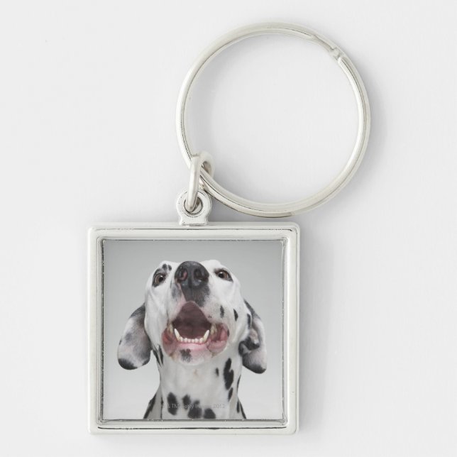 Close up of a Dalmatian dog Keychain (Front)