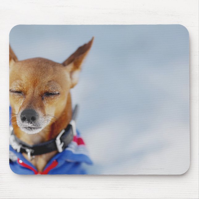 Close-up of a dog mouse pad (Front)