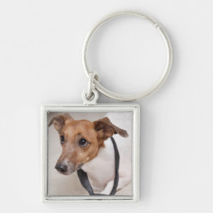 Close-up of a dog putting on a tie keychain