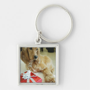 Close-up of a dog with a gift keychain