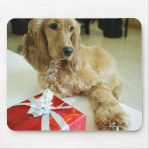 Close-up of a dog with a gift mouse pad