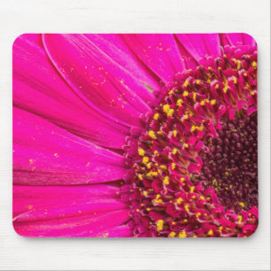 Close-up of a Gerber daisy Mouse Pad