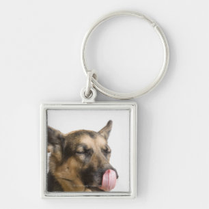 Close-up of a German Shepherd licking its nose Keychain