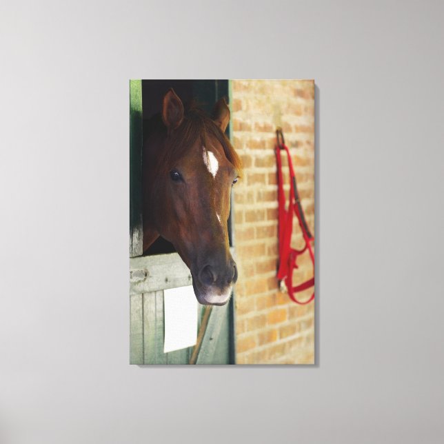 Close-up of a horse 2 canvas print (Front)