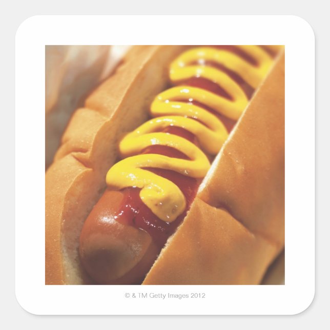 close-up of a hotdog square sticker (Front)