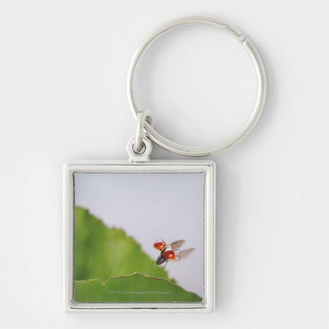 Close-up of a ladybug flying over a leaf keychain (Front)