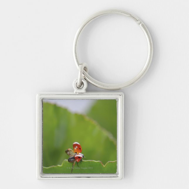 Close-up of a ladybug on a leaf keychain (Front)