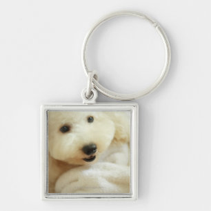 Close-up of a miniature poodle 2 keychain