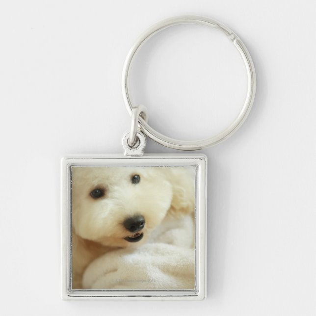 Close-up of a miniature poodle 2 keychain (Front)