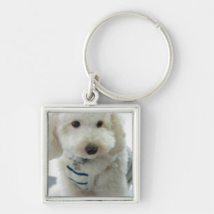 Close-up of a miniature poodle keychain