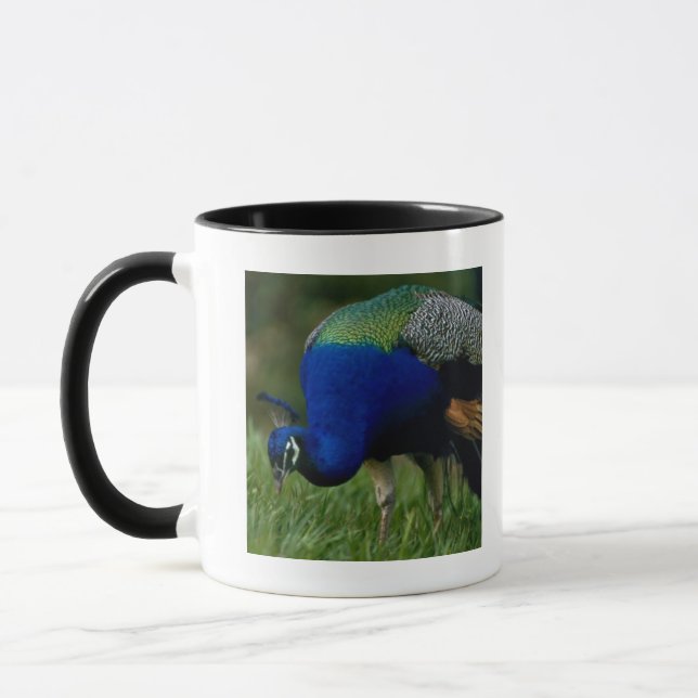 Close-up of a peacock mug (Left)
