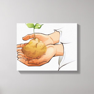 Close-up of a person's hands holding seedling canvas print
