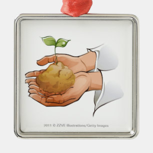 Close-up of a person's hands holding seedling metal ornament