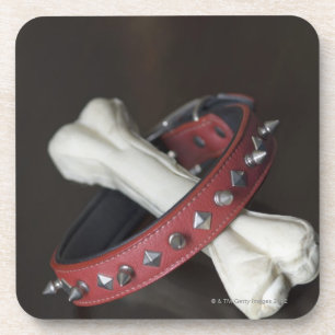 Close-up of a pet collar and a dog bone coaster