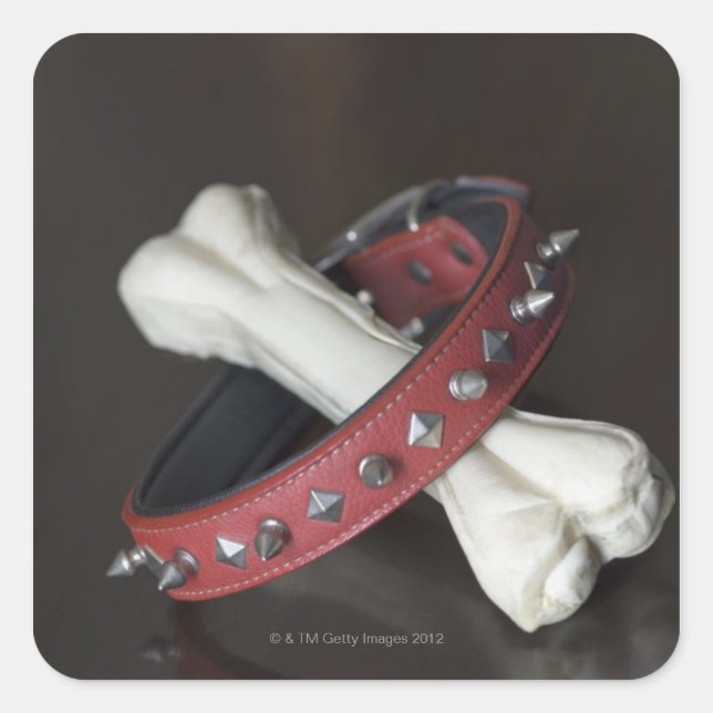 Close-up of a pet collar and a dog bone square sticker (Front)