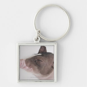 Close-up of a piglet's head, smiling keychain