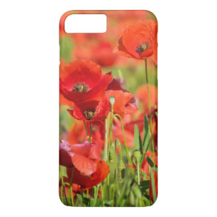 Close-up of a Poppy field, France Case-Mate iPhone Case