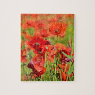 Close-up of a Poppy field, France Jigsaw Puzzle