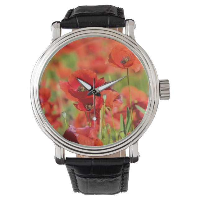 Close-up of a Poppy field, France Watch (Front)