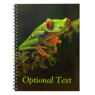 Close up of a Red Eyed Tree Frog #1 Notebook