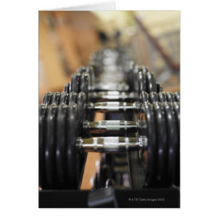 Close-up of a row of dumbbells