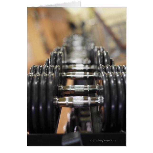 Close-up of a row of dumbbells (Front)