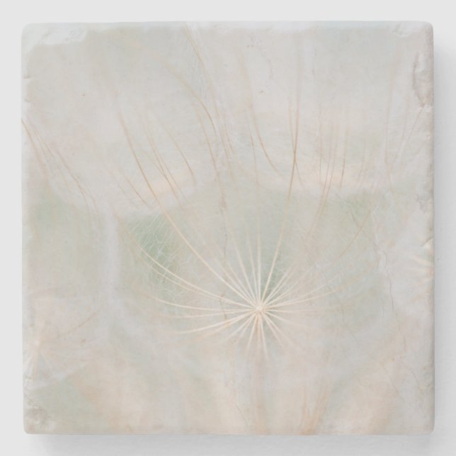 Close up of a seed head, Canada Stone Coaster (Front)