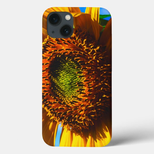 Close-up of a sunflower Case-Mate iPhone case (Back)