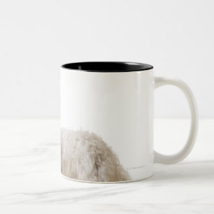 Close up of a terrier Two-Tone coffee mug