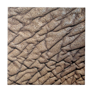 Close-Up Of African Elephant's Hide Tile