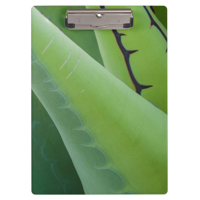 Close Up Of Agave Clipboard (Front)