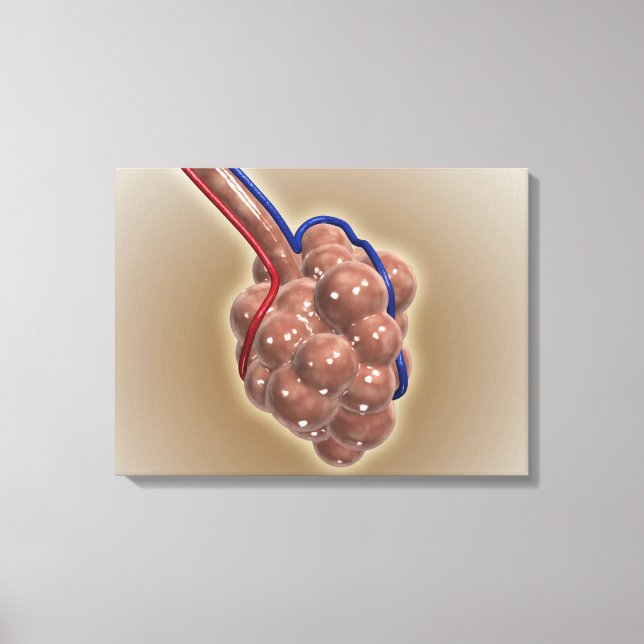 Close-Up Of Alveolus Canvas Print (Front)