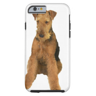 Close up of an airedale terrier tough iPhone 6 case