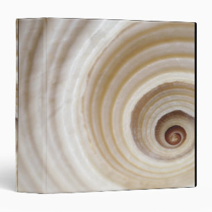Close-up of an animal shell binder