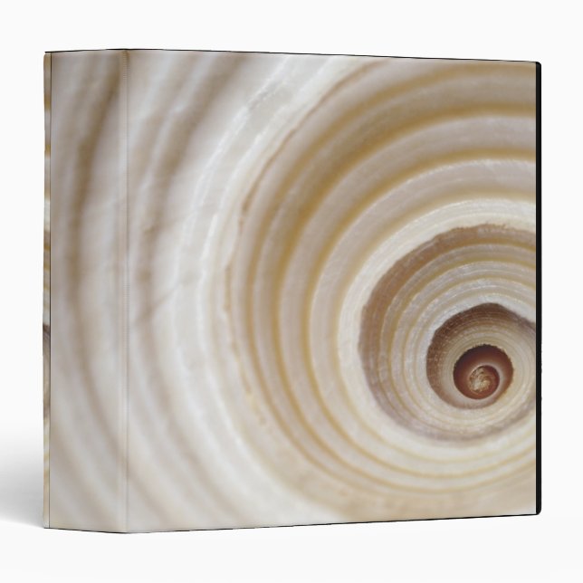 Close-up of an animal shell binder (Front/Spine)
