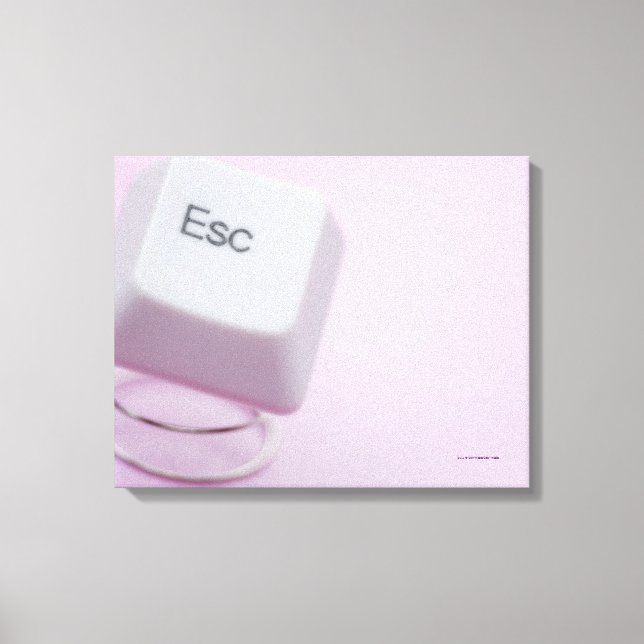 Close-up of an escape key canvas print (Front)