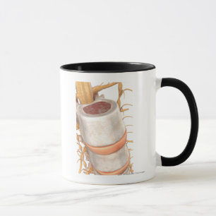 Close up of an invertebral disc in the spine mug