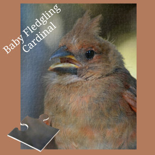 Close-up of Baby Cardinal Bird Photographic Jigsaw Puzzle