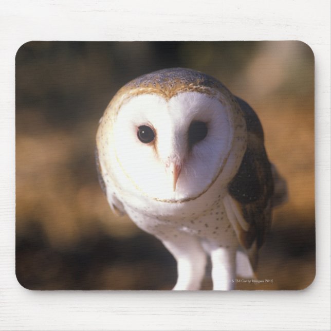 'Close-up of Barn Owl, Land Between Lakes, KY' Mouse Pad (Front)