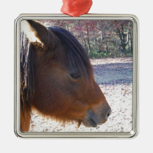 Close up of Brown horse, Little Brown Pony Metal Ornament