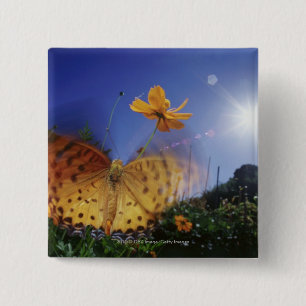 Close-up of Butterfly, flapping wings 2 Inch Square Button