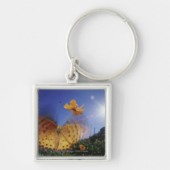 Close-up of butterfly, flapping wings keychain (Front)
