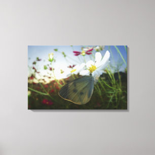 Close-up of butterfly on flower canvas print