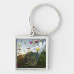 Close-up of butterfly on flower keychain