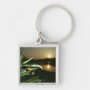 Close-up of Butterfly on leaf at sunset Keychain