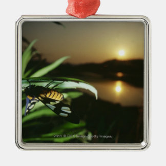 Close-up of Butterfly on leaf at sunset Metal Ornament