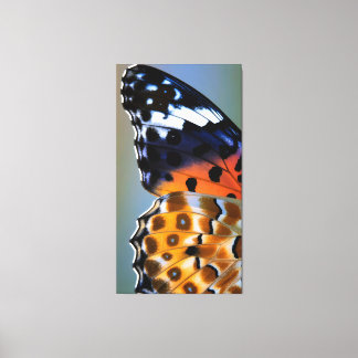 Close up of butterfly wings canvas print